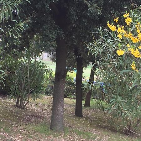 Appartamento Dell Agriturismo Pane E Olio Тоді Екстер'єр фото