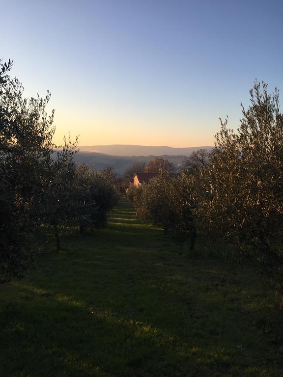 Appartamento Dell Agriturismo Pane E Olio Тоді Екстер'єр фото
